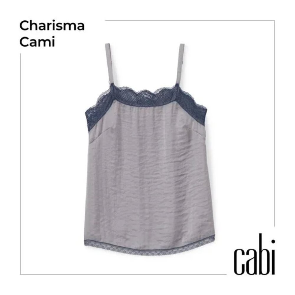 CAbi Gray and Black Chemise - Picture 3 of 4